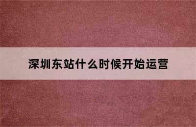 深圳东站什么时候开始运营