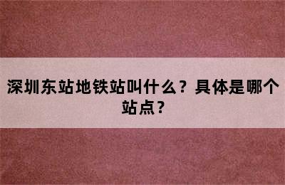 深圳东站地铁站叫什么？具体是哪个站点？