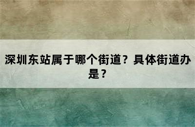 深圳东站属于哪个街道？具体街道办是？