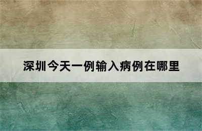 深圳今天一例输入病例在哪里