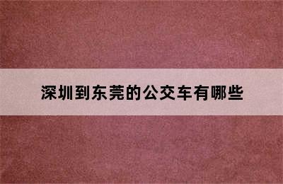 深圳到东莞的公交车有哪些