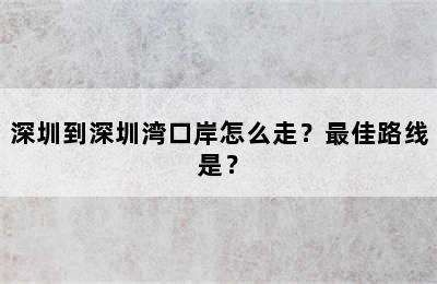 深圳到深圳湾口岸怎么走？最佳路线是？