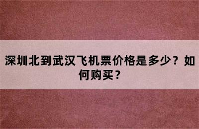 深圳北到武汉飞机票价格是多少？如何购买？