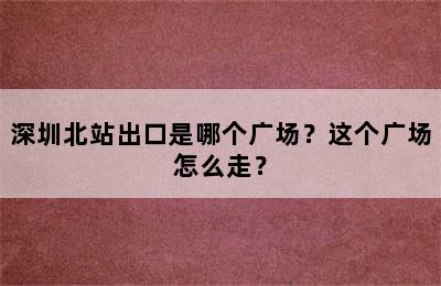深圳北站出口是哪个广场？这个广场怎么走？