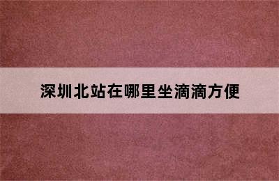 深圳北站在哪里坐滴滴方便