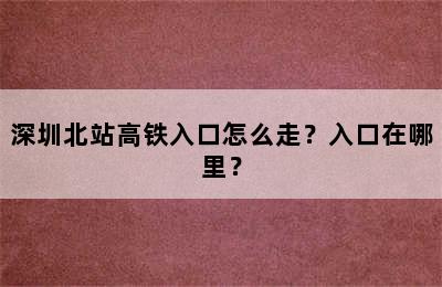 深圳北站高铁入口怎么走？入口在哪里？