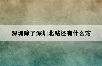 深圳除了深圳北站还有什么站