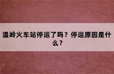 温岭火车站停运了吗？停运原因是什么？