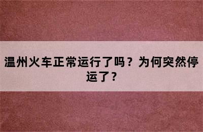 温州火车正常运行了吗？为何突然停运了？