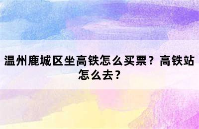 温州鹿城区坐高铁怎么买票？高铁站怎么去？