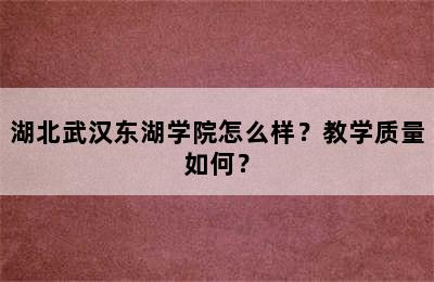 湖北武汉东湖学院怎么样？教学质量如何？