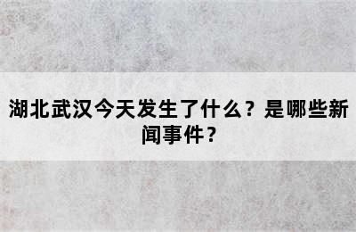 湖北武汉今天发生了什么？是哪些新闻事件？
