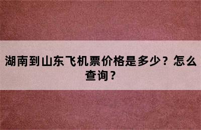 湖南到山东飞机票价格是多少？怎么查询？