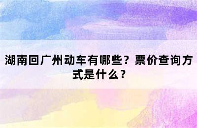 湖南回广州动车有哪些？票价查询方式是什么？