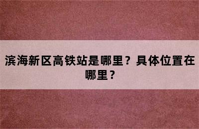 滨海新区高铁站是哪里？具体位置在哪里？
