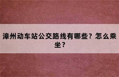漳州动车站公交路线有哪些？怎么乘坐？