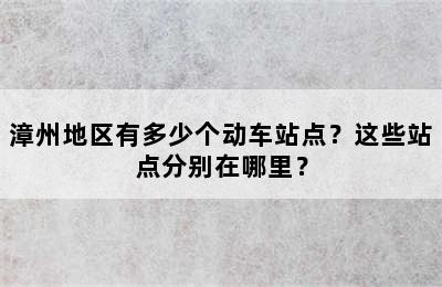 漳州地区有多少个动车站点？这些站点分别在哪里？