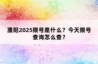 濮阳2025限号是什么？今天限号查询怎么查？