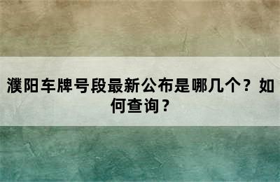 濮阳车牌号段最新公布是哪几个？如何查询？