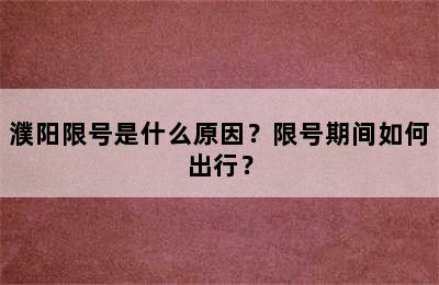 濮阳限号是什么原因？限号期间如何出行？