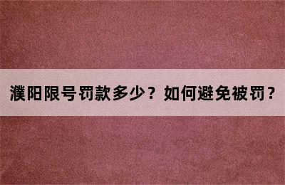 濮阳限号罚款多少？如何避免被罚？