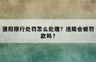濮阳限行处罚怎么处理？违规会被罚款吗？
