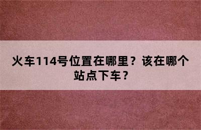 火车114号位置在哪里？该在哪个站点下车？