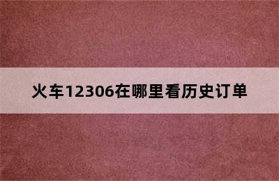 火车12306在哪里看历史订单