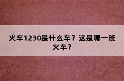 火车1230是什么车？这是哪一班火车？