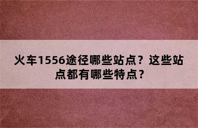 火车1556途径哪些站点？这些站点都有哪些特点？