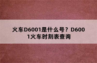 火车D6001是什么号？D6001火车时刻表查询