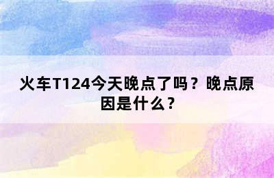火车T124今天晚点了吗？晚点原因是什么？