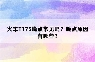 火车T175晚点常见吗？晚点原因有哪些？