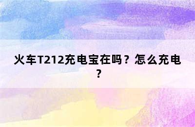 火车T212充电宝在吗？怎么充电？