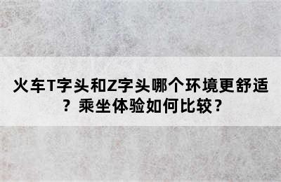 火车T字头和Z字头哪个环境更舒适？乘坐体验如何比较？