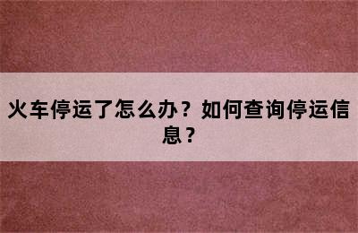 火车停运了怎么办？如何查询停运信息？