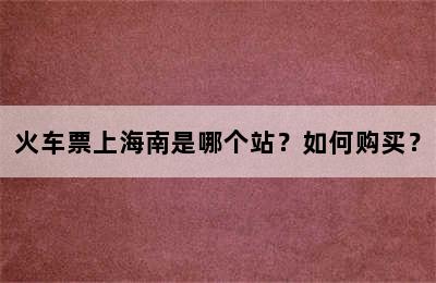 火车票上海南是哪个站？如何购买？