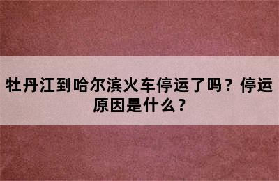 牡丹江到哈尔滨火车停运了吗？停运原因是什么？