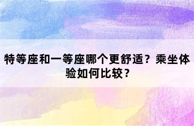 特等座和一等座哪个更舒适？乘坐体验如何比较？
