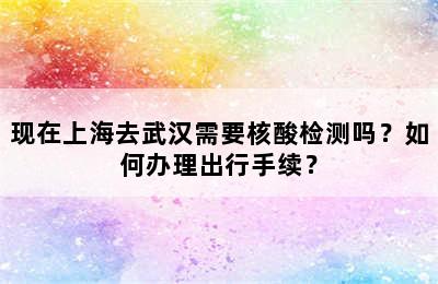 现在上海去武汉需要核酸检测吗？如何办理出行手续？
