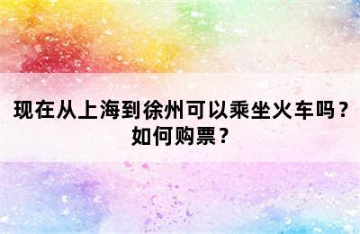现在从上海到徐州可以乘坐火车吗？如何购票？