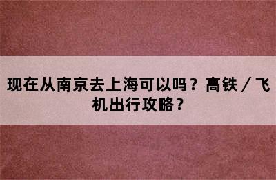 现在从南京去上海可以吗？高铁／飞机出行攻略？