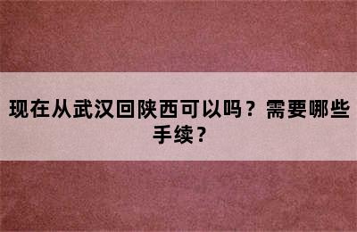 现在从武汉回陕西可以吗？需要哪些手续？