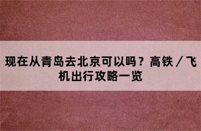 现在从青岛去北京可以吗？高铁／飞机出行攻略一览