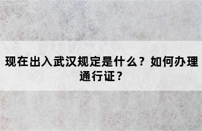 现在出入武汉规定是什么？如何办理通行证？