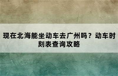 现在北海能坐动车去广州吗？动车时刻表查询攻略