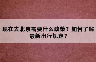现在去北京需要什么政策？如何了解最新出行规定？