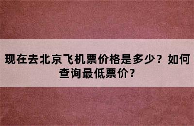 现在去北京飞机票价格是多少？如何查询最低票价？
