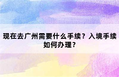 现在去广州需要什么手续？入境手续如何办理？