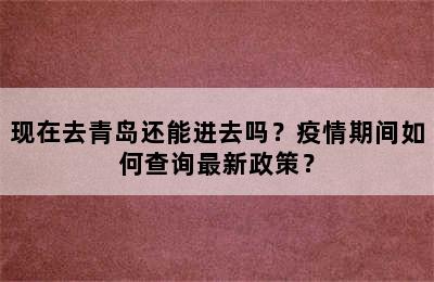 现在去青岛还能进去吗？疫情期间如何查询最新政策？
